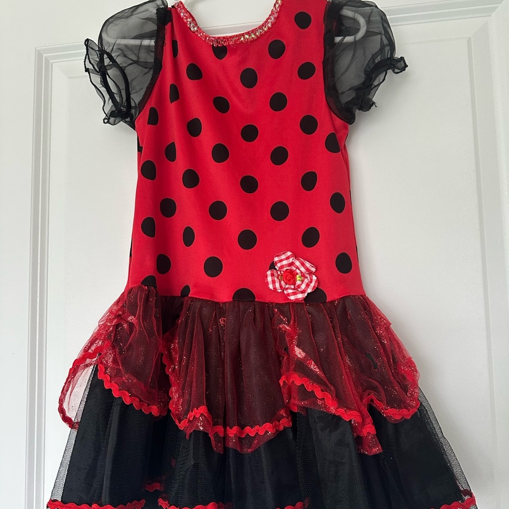 Toddler 3-4T Red and Black Ladybug Halloween Costume